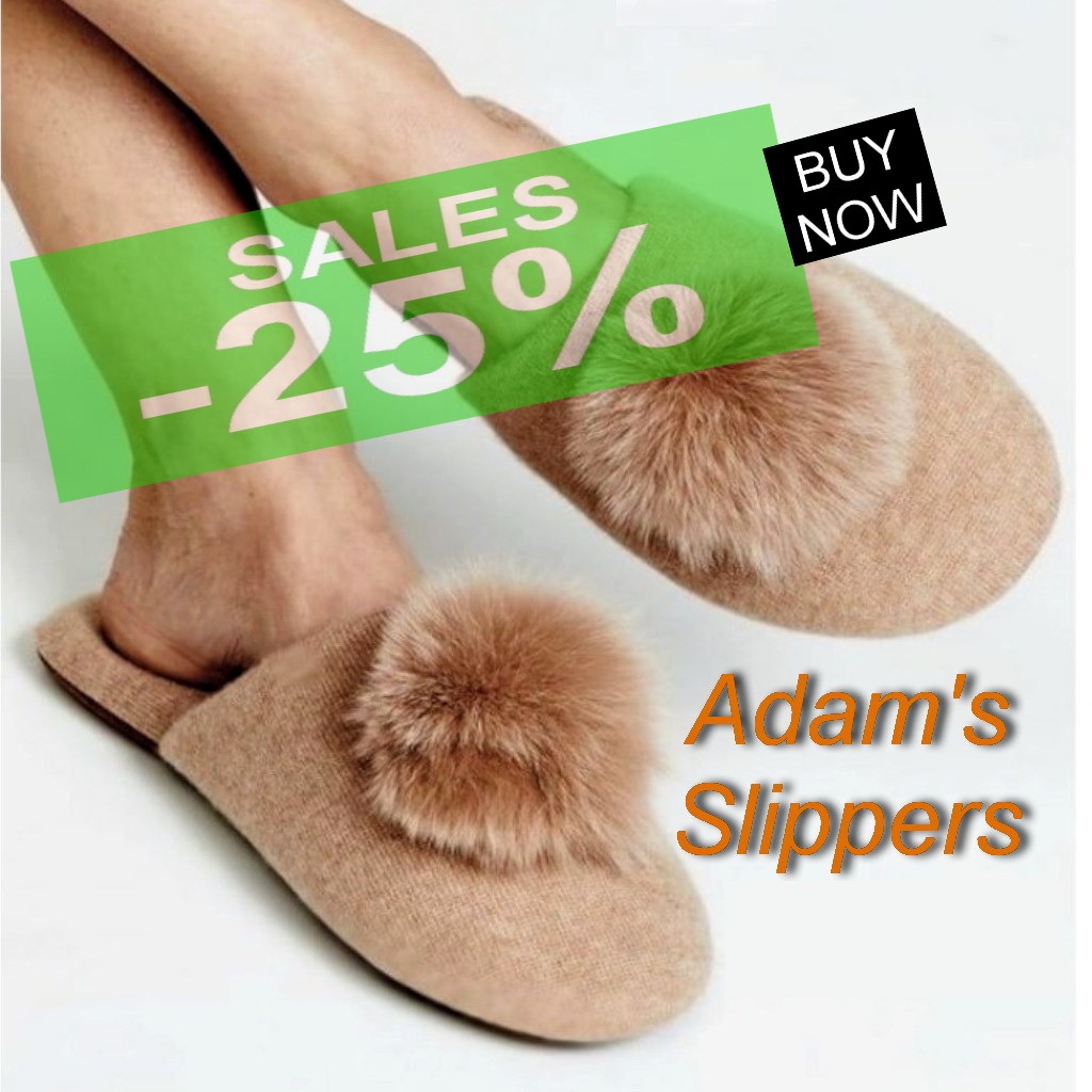 shoesenter slippers