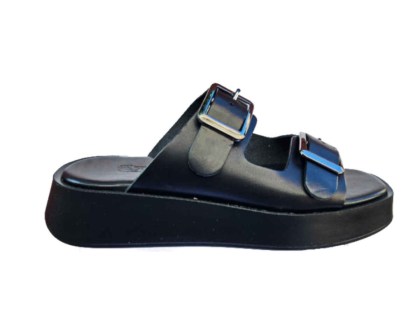 219black1.jpg