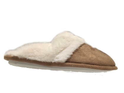 2303camel1.jpg