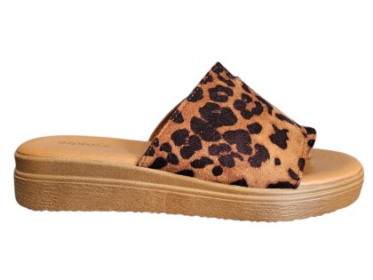 829-5016leopa1.jpg